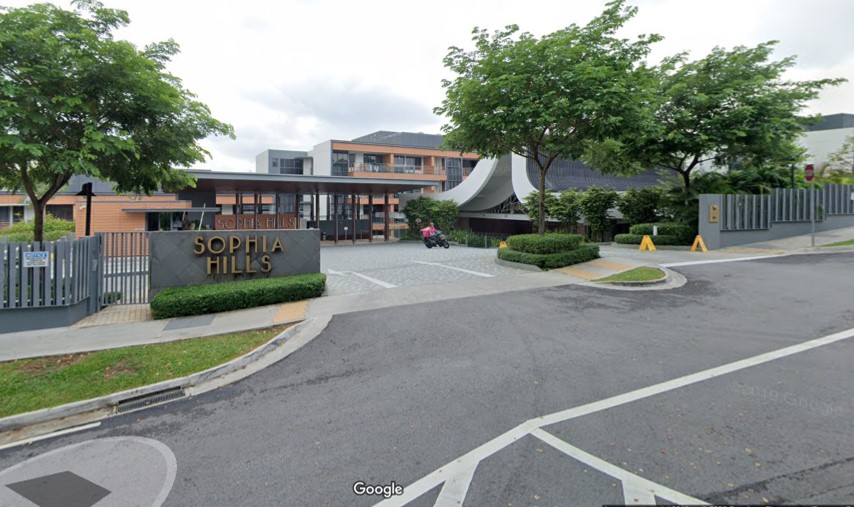 Sophia Hills